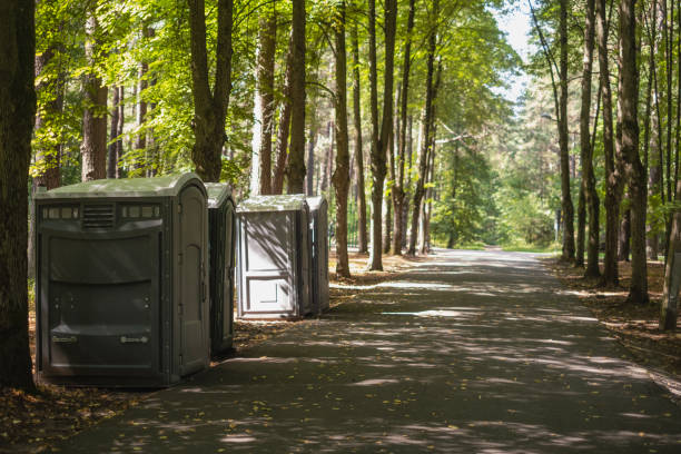 Best Porta potty rental near me  in Lake Hamilton, AR